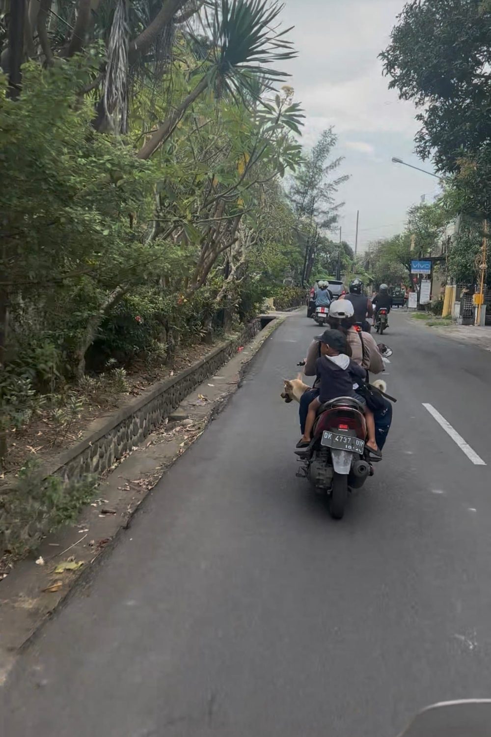 Image_20251105_182944_524