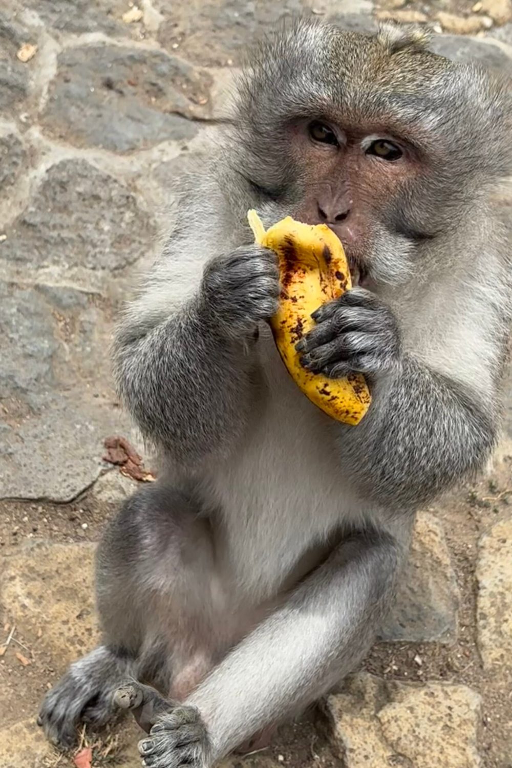 Image_20251105_182946_153