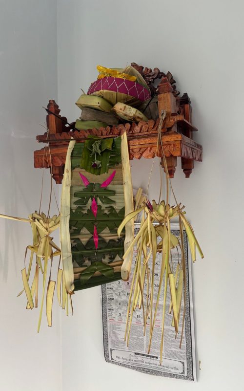 Image_20251119_133959_595