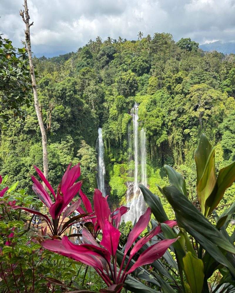 Image_20260217_151544_781