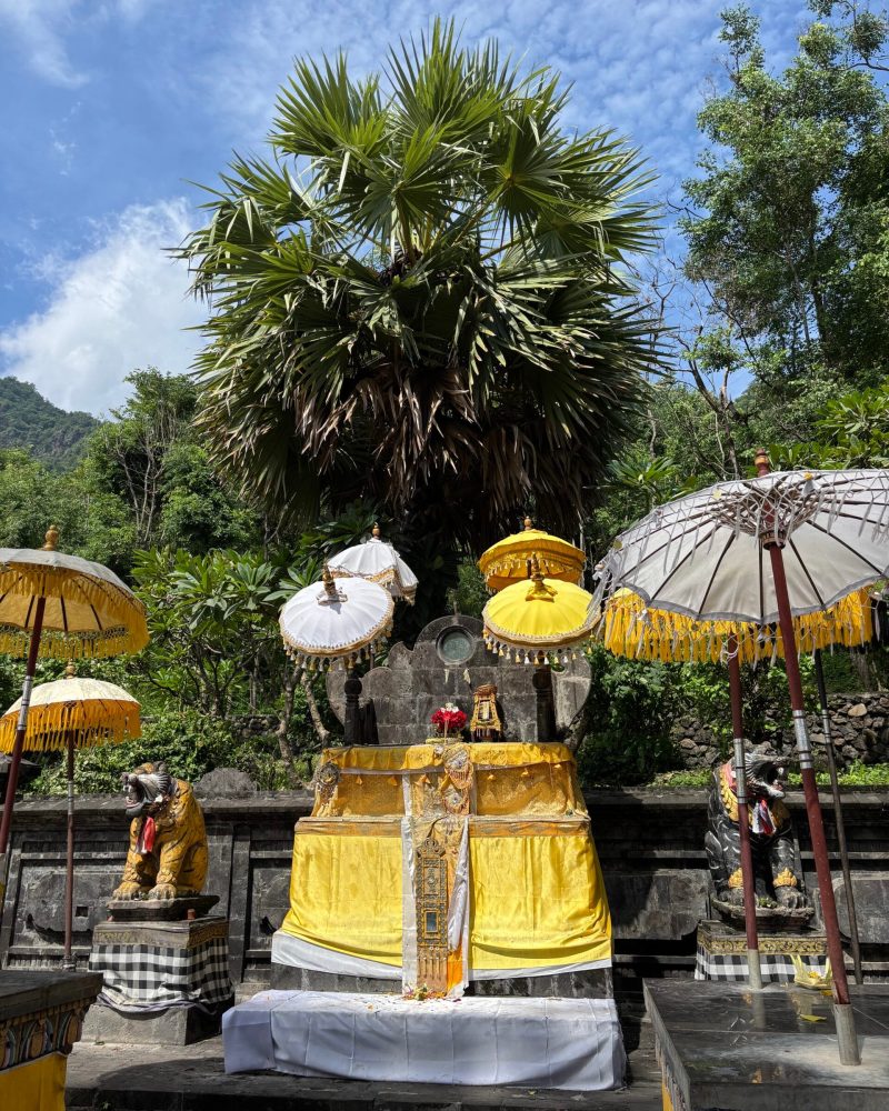 Image_20260217_153333_675